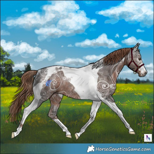 Horse Color:Gray Liver Chestnut Ice Tobiano Rabicano 
