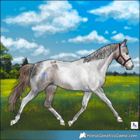 Horse Color:Gray Liver Chestnut Ice Tobiano Rabicano