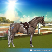 Horse Color:Silver Black Tobiano  and Silver Black Tobiano Rabicano 