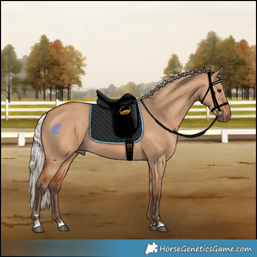 Horse Color:Silver Bay Dun Rabicano 