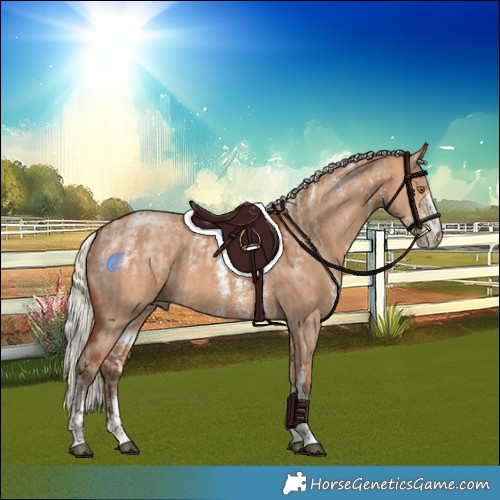 Horse Color:Silver Bay Dun Sabino Tobiano Rabicano  and Powder White Silver Bay Dun Sabino Rabicano 