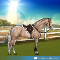 Horse Color:Silver Bay Dun Sabino Tobiano Rabicano  and Powder White Silver Bay Dun Sabino Rabicano 