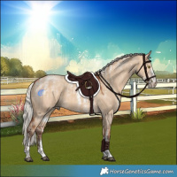 Horse Color:Silver Bay Dun Sabino Tobiano Rabicano and Powder White Silver Bay Dun Sabino Rabicano