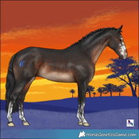 Horse Color:Brown 