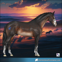 Horse Color:Brown 