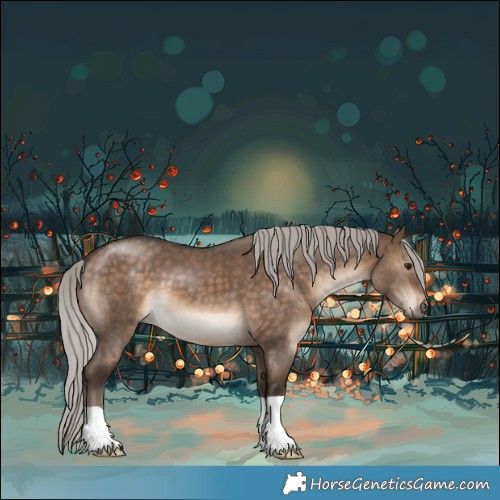 Horse Color:Silver Brown Dun 
