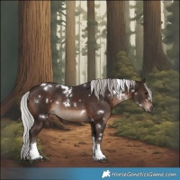 Horse Color:White Spotted Silver Brown Tobiano Rabicano 