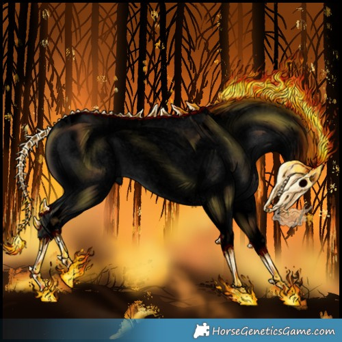 Horse Color:Void Blue Roan Tobiano Rabicano