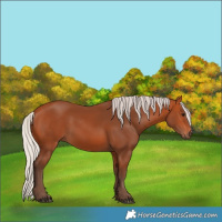Horse Color:Silver Bay 