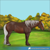 Horse Color:Silver Brown 