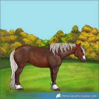Horse Color:Silver Bay 
