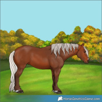 Horse Color:Silver Brown