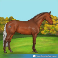 Horse Color:Silver Bay