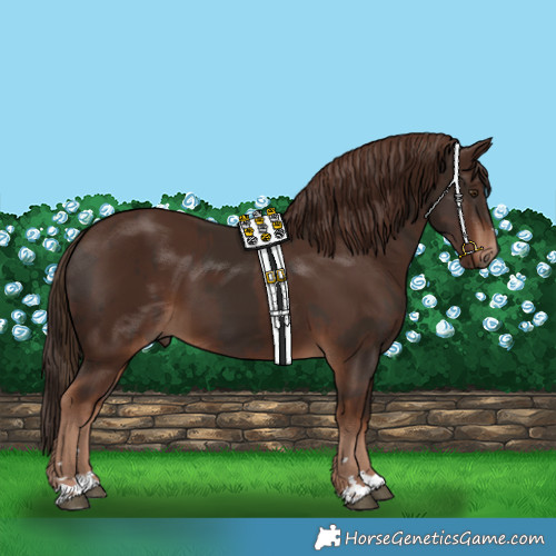 Horse Color:Liver Chestnut  and Liver Chestnut 