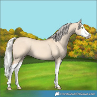 Horse Color:Silver Classic Champagne Dun Splash Frame 