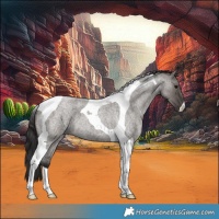 Horse Color:Smoky Grullo Roan Tobiano 