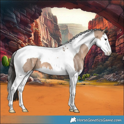 Horse Color:Bay Ice Dun Splash Tobiano 