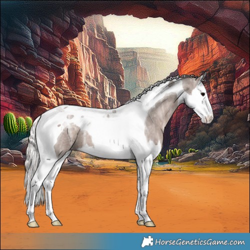 Horse Color:Silver Blue Ice Roan Splash Tobiano 
