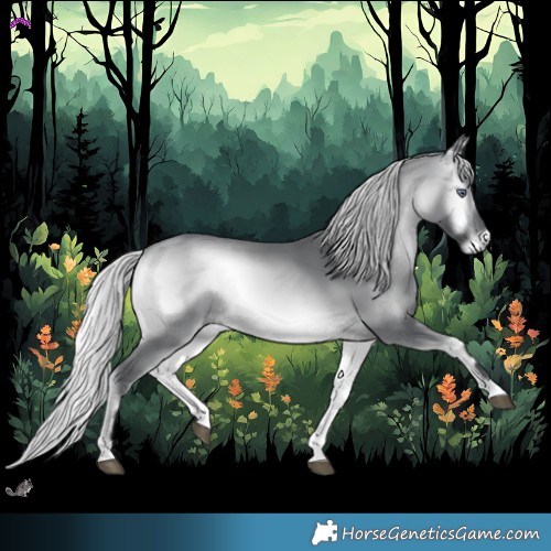 Horse Color:Silver Brown Chinchilla Onyx 