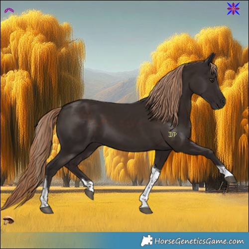 Horse Color:Liver Chestnut Tobiano 