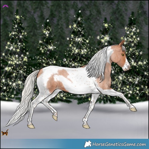 Horse Color:Silver Brown Roan Pearl Tobiano Frame