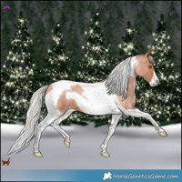 Horse Color:Silver Brown Roan Pearl Tobiano Frame