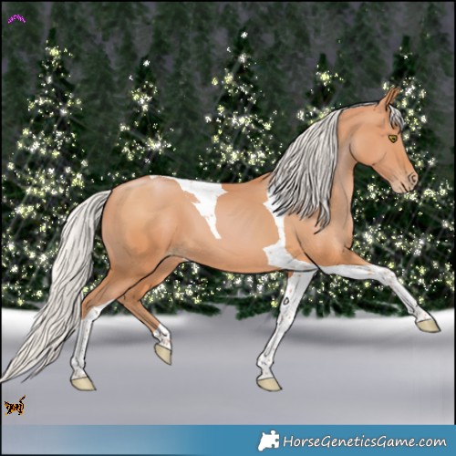 Horse Color:Silver Bay Pearl Tobiano 