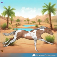 Horse Color:Silver Brown Pearl Tobiano 
