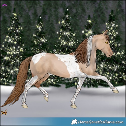 Horse Color:Brown Pearl Dun Tobiano
