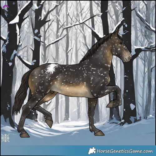 Horse Color:Buckskin Snowcap 