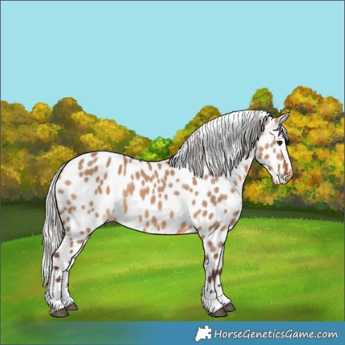 Horse Color:Silver Brown Dun Leopard