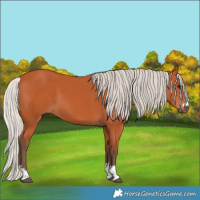 Horse Color:Silver Bay