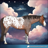 Horse Color:Bay Roan Blanket 