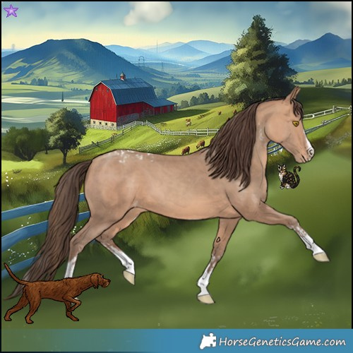 Horse Color:Amber Champagne Sabino Tobiano Appaloosa  and Amber Champagne Sabino Splash Tobiano Appaloosa 