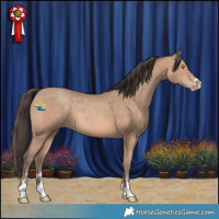 Horse Color:Sable Champagne 