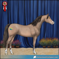 Horse Color:Sable Champagne 