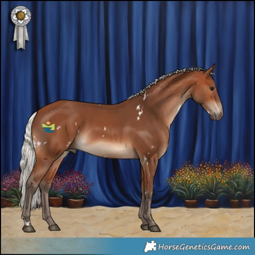 Horse Color:White Spotted Silver Brown 
