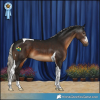 Horse Color:Gray Silver Brown Tobiano