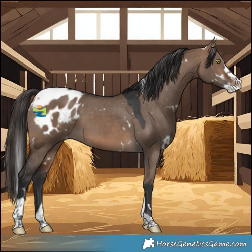 Horse Color:White Spotted Brown Dun Splash Tobiano Blanket 