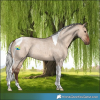 Horse Color:Silver Bay Roan Dun Tobiano 