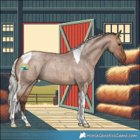 Horse Color:Silver Bay Roan Dun Tobiano 