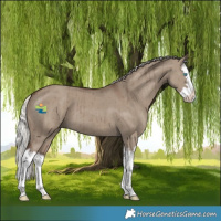 Horse Color:Silver Grullo Splash Brindle 