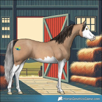 Horse Color:Amber Champagne Splash 