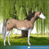 Horse Color:Amber Champagne Splash