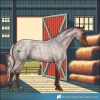 Horse Color:Silver Bay Roan 