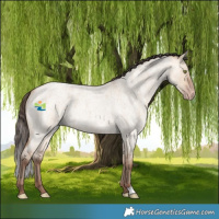 Horse Color:Amber Champagne Roan Dun Brindle