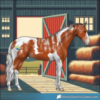 Horse Color:Powder White Silver Bay Tobiano