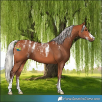 Horse Color:Powder White Silver Bay 