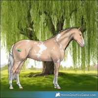 Horse Color:White Spotted Silver Amber Champagne
