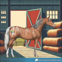 Horse Color:Powder White Silver Bay 